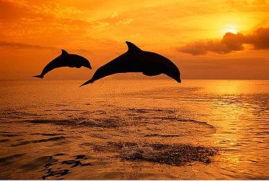 Xbox Series X＆S在日本销量增速高于Xbox One 近三周达历史最高