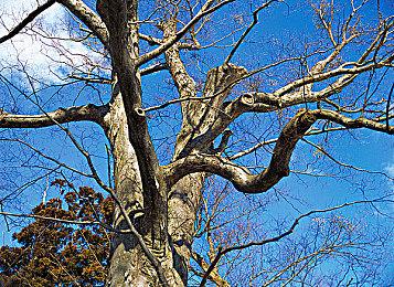 PS+三档会员试玩添加《战神：诸神黄昏》 可体验3小时